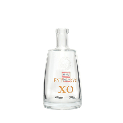 500 ml leere Flasche mit Spray für Getränke